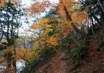 10月20日頃から11月第一週までは紅葉が望める。