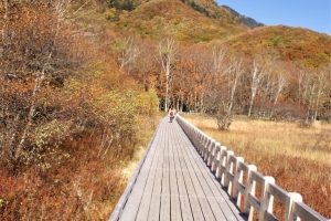 紅葉に染まる山々を愛でながら高架木道を歩きます