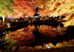 「曽木公園 逆さ紅葉」幻想の景
