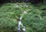 老野湧水の滝2
