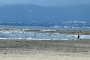 岩瀬浜海水浴場。5月中旬なのに誰か泳いでいます。