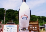 天売島のシンボル「オロロン鳥」。注：ペンギンではありません！！