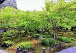 4/23 緑が眩しい『十牛之庭』の美しい景観を広角で撮ってみました・・・!!!