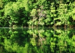 鮮やかな緑が、湖面に写る！！！
