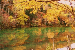 湖面に写る紅葉も素晴らしい・・・。