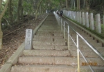日本一の石段（釈迦院御坂遊歩道2