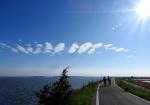 サイクリングロードが整備され、青い空と霞ケ浦湖畔を爽快に走れます。