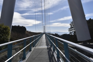 帰り道の吊り橋
