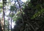 八幡山城跡　石垣が残る。