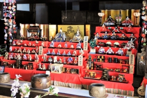 重厚な潮田家住宅に飾られた、江戸〜明治〜大正〜昭和の、それぞれの時代のひな人形。（大変貴重な価値のあるひな人形なのでは？？）