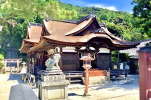 白鬚神社社殿です