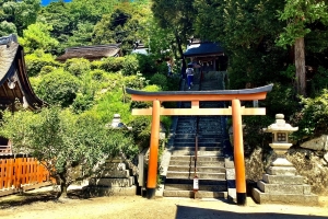 社殿の先にもう一つの鳥居です