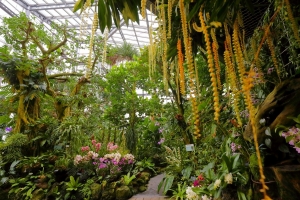 2/21 『熱帯植物室』の入口〜トロピカルがは花々が、出迎えてくれました・・・（湿気でレンズが少し‘くもり’ました！）・・・!!!