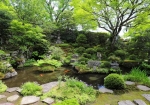 5/10 美しい庭園...と、池の辺に咲く可憐な“姫シャガ”の花たち・・・!!!