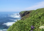 真っ青な太平洋の大海原と、迫力の落石岬の断崖