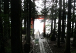 箱根神社の有名スポット
