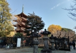 五重塔。上野動物園のパンダは1月末でいなくなるそうだ。