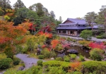 11/15 高台から眺めた・・・美しい日本庭園の景色...と、・・・!!!