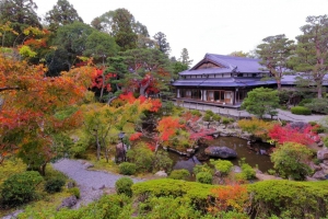 11/15 高台から眺めた・・・美しい日本庭園の景色...と、・・・!!!