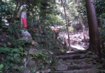 神社への道