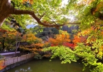 11/13 青葉、赤葉で彩った“もみじ”が、池の辺を美しく縁取っていました・・・!!!