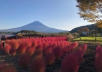 富士山とコキアに感動