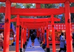 不思議な魅力を持つといわれるスポット〘楠本稲荷神社〙の建ち並ぶ朱色の鳥居を・・・!!!
