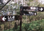 山道の標識。飯盛山を目指そう。平沢山はあまり推されてないらしい。