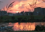 河川敷と夕日