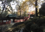 乙女稲荷からの鳥観。根津神社の塀が望める。