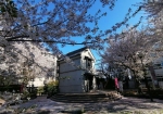 学校の隣。桜の季節以外は子供がスィッチで遊んでる