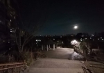 観月。月の出がよく見える。