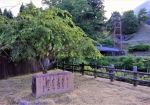 6/16 公園の桜の木の袂に『西行法師』の句碑を、❛パチリ❜...と、一枚・・・!!!