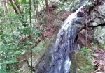 小さな滝ですが形は立派な滝です。