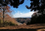 仙元山の中腹からの景色。低い山が見える。