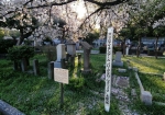 外国人墓地、東洋のナイチンゲールさん
