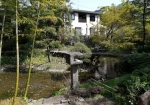 池を中心に周遊散歩する日本庭園