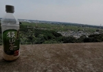 桜山展望台から狭山茶畑を望む