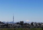 天気が良いとスカイツリーと富士山が見える。11月は雲が少なくて空気が澄んでるので見えやすいはずだ。