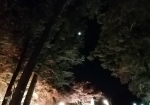 夜は月が出ていて綺麗だった