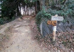 観光案内所からゆっくり歩いて30分ぐらい。最初の「高取山」の標識を曲がる。