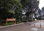 小金井公園の朝は早い。ラジオ体操会場である。