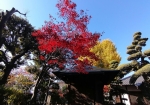 太田道灌の坐像が安置されてるお堂。毎月26日に公開される。