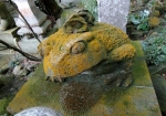 宇都宮は伝説にちなんで蛙の石像が多い。大谷石カエル。