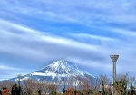 富士山の写真は足柄サービスエリアからです。