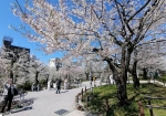 上野公園より断然いい。歩道コーナーは花が近い