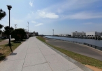 江戸川沿いに伸びる公園
