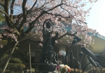 仏像と桜