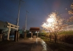 街灯にライトアップされた桜を見てたら富士塚に気づいた。