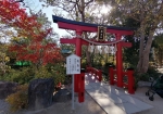 厳島神社。広島の神社かな。